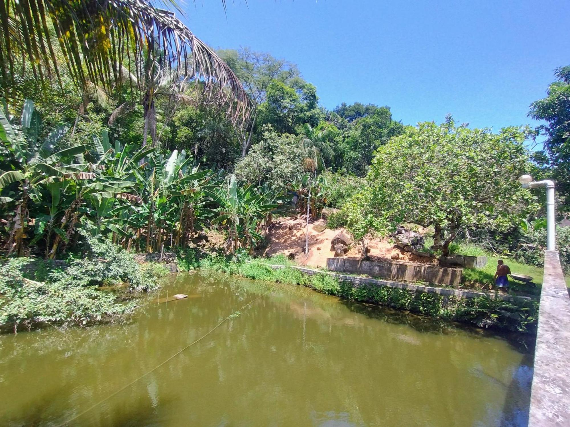 Pousada Tucunare Peruíbe Exterior foto